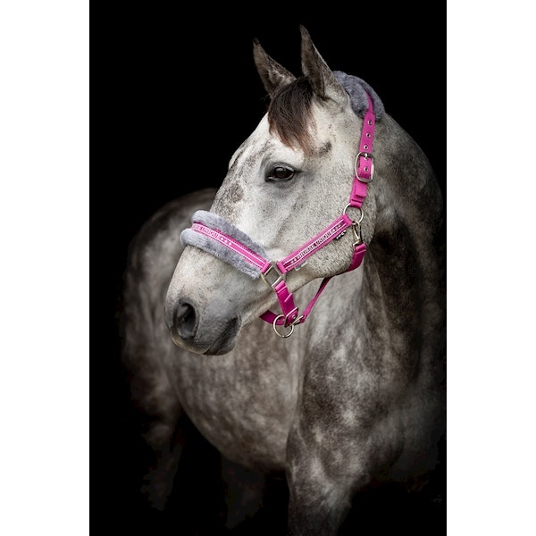 Grimma Horse Unique cerise
