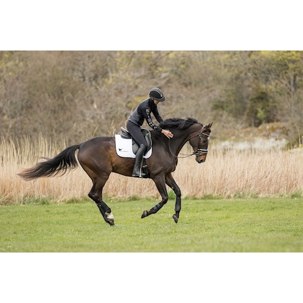 Stierna Axis Vindjacka Black
