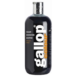 Carr & Day & Martin Gallop Schampo  Black 500ml