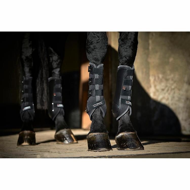 Catago Hybrid dressyrdamasker asphalt