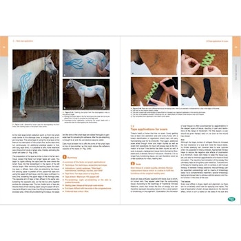 MTC  Equine kinesiology taping book