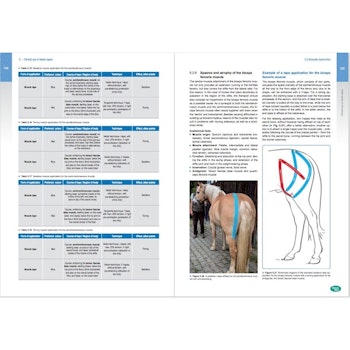 MTC  Equine kinesiology taping book