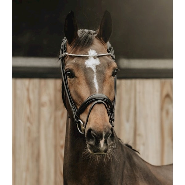 Finesse Träns bridle slim svart