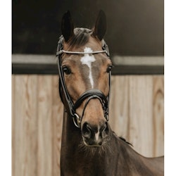 Finesse Träns bridle slim svart