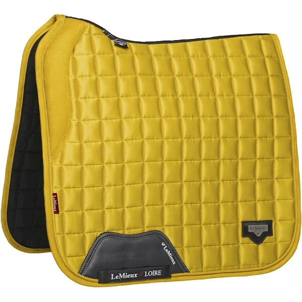 Lemieux Loire Dressyr Dijon full