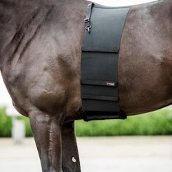 Catago Body Shield Svart