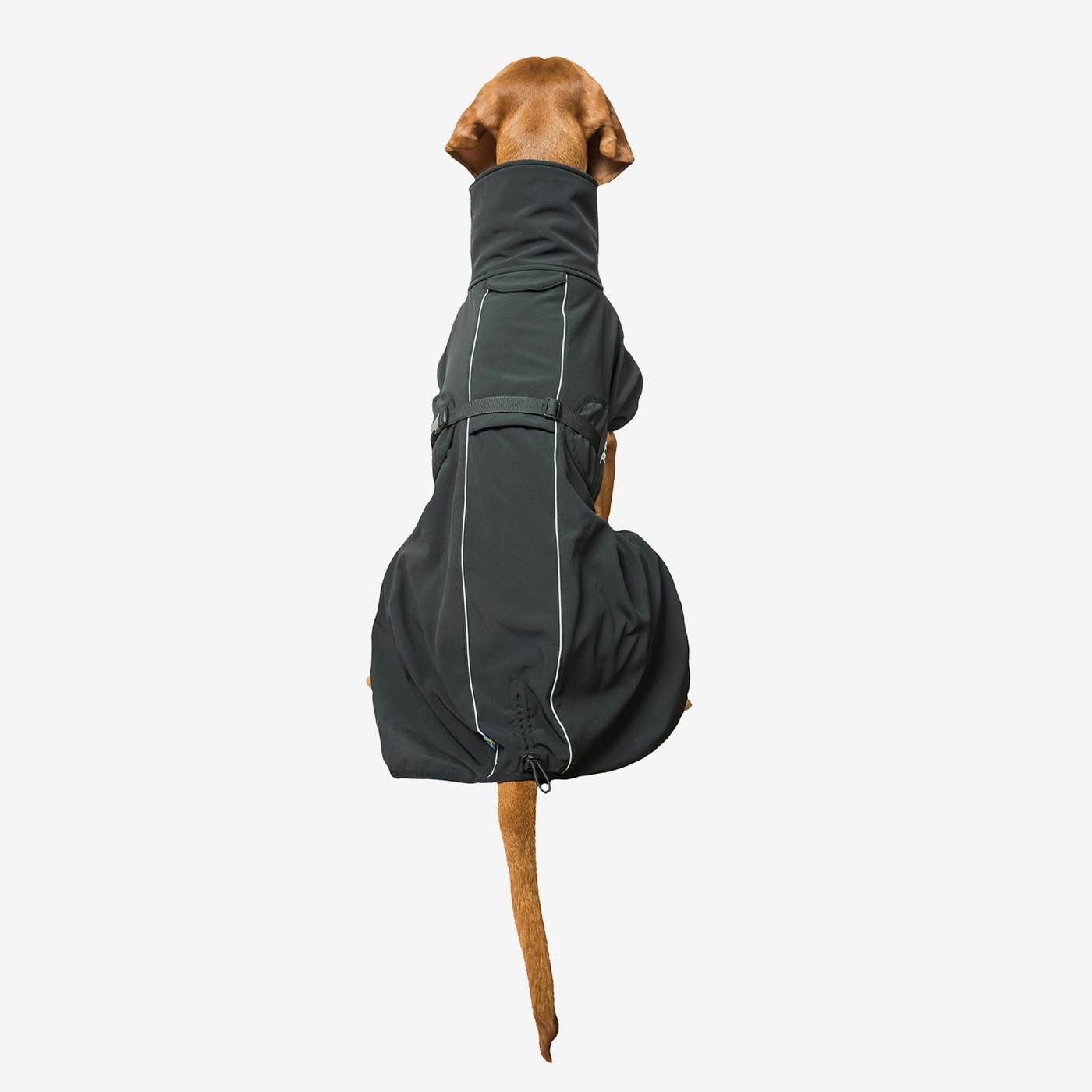 Back on Track Bark svart