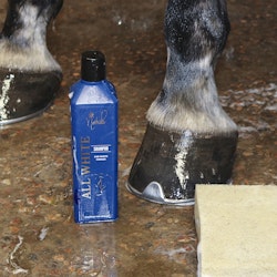 Nathalie Deep Cleansing/Iodine shampoo