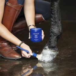 Nathalie Hoof Grease 500 ml