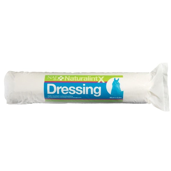 Naturalintx dressing 500G