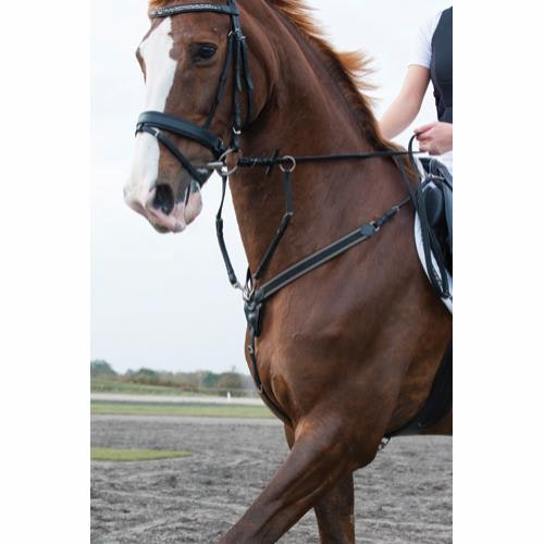 Eldorado Förbygel med martingal svart
