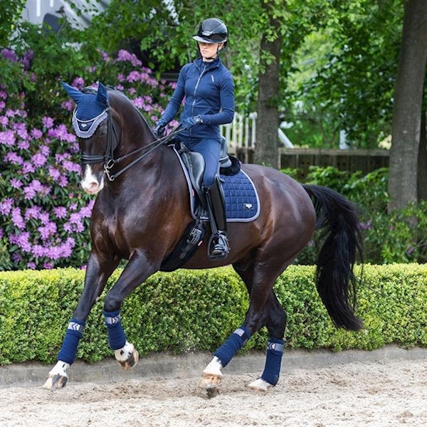 LeMieux Loire Twilight dressyr och hopp full