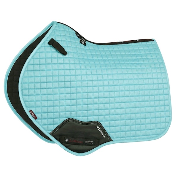 Lemieux Suede Square  dressy/hopp azure full