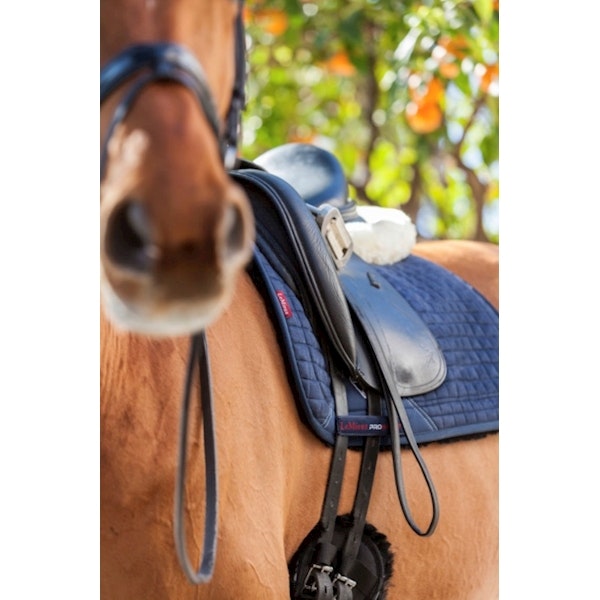 Lemieux Sensitive Square dressyr navy  full