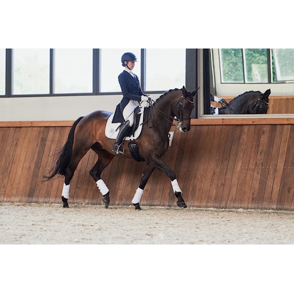 Eskadron softshell tendon boots vit