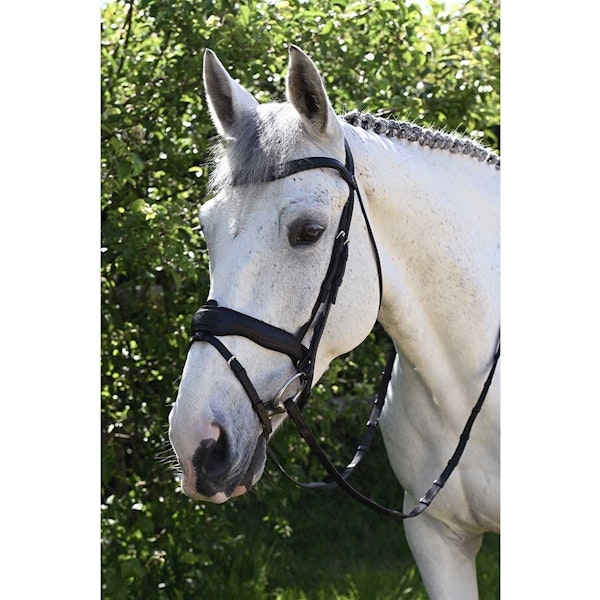 Antarès Signature träns med Dressyrnosgrimma