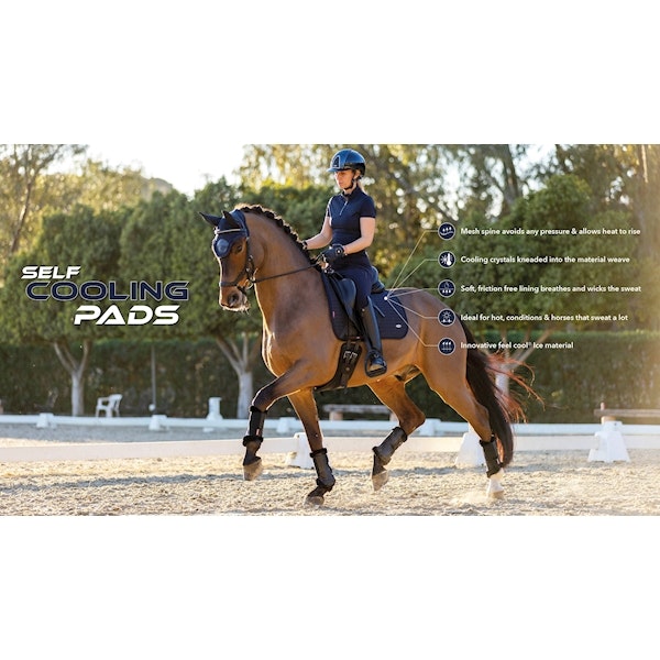 Lemieux Self Cool Square jump navy