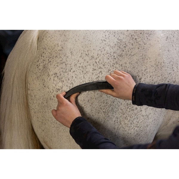 Excellent Horse Grooming Brush svart