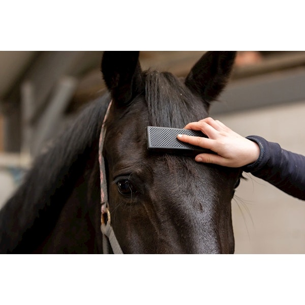 Excellent Horse Grooming Brush svart