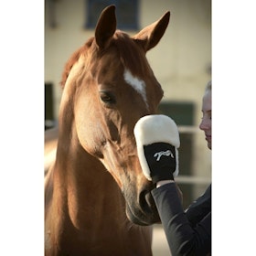 Penelope Grooming Glove