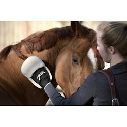 Penelope Grooming Glove