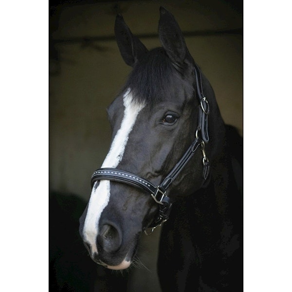 Penelope Leather grimma brun & svart full