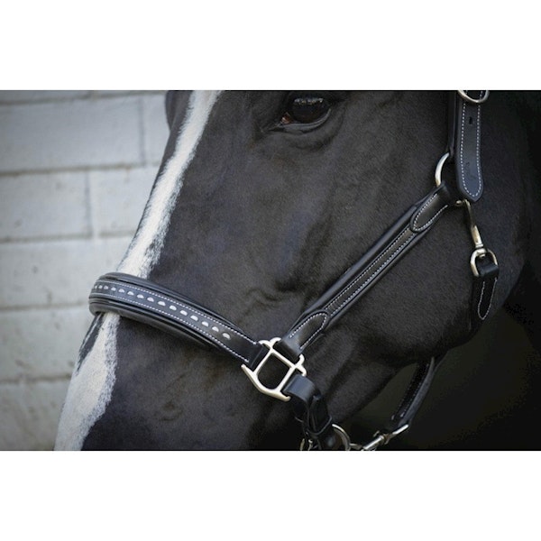 Penelope Leather grimma brun & svart full