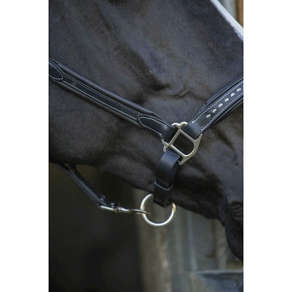 Penelope Leather grimma brun & svart full