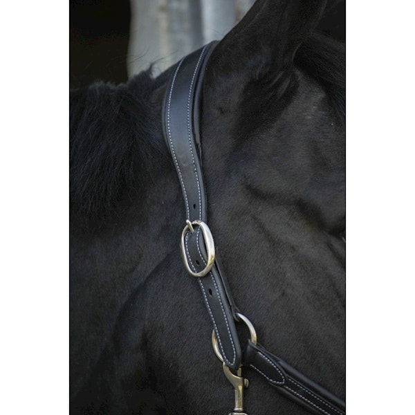 Penelope Leather grimma brun & svart full