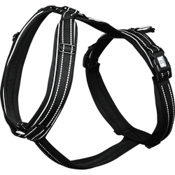 Sprenger Harness föl svart