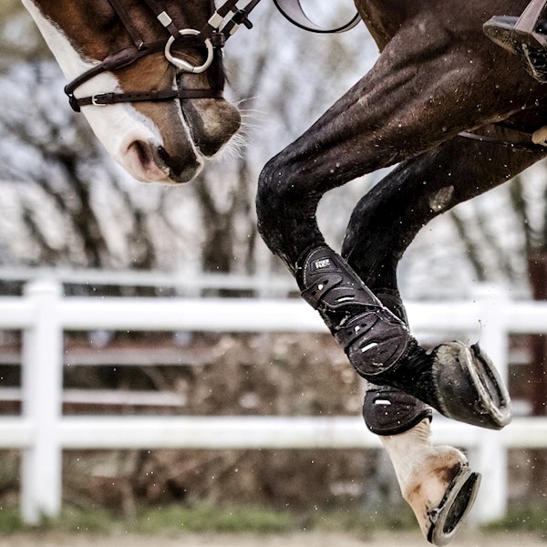 Stübben Hybrid Tendon boots fram M Brun&svart