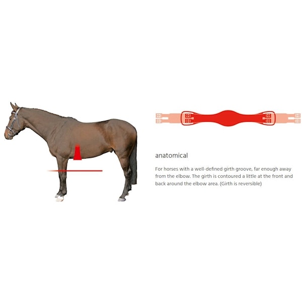 Mattes Anatomic sadelgjord svart/nature & svart/svart