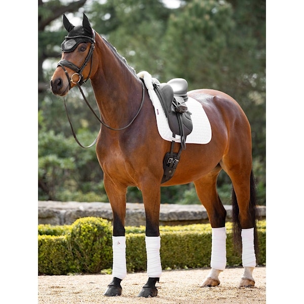 Lemieux Pro Merinoull dressyr vit/vit full