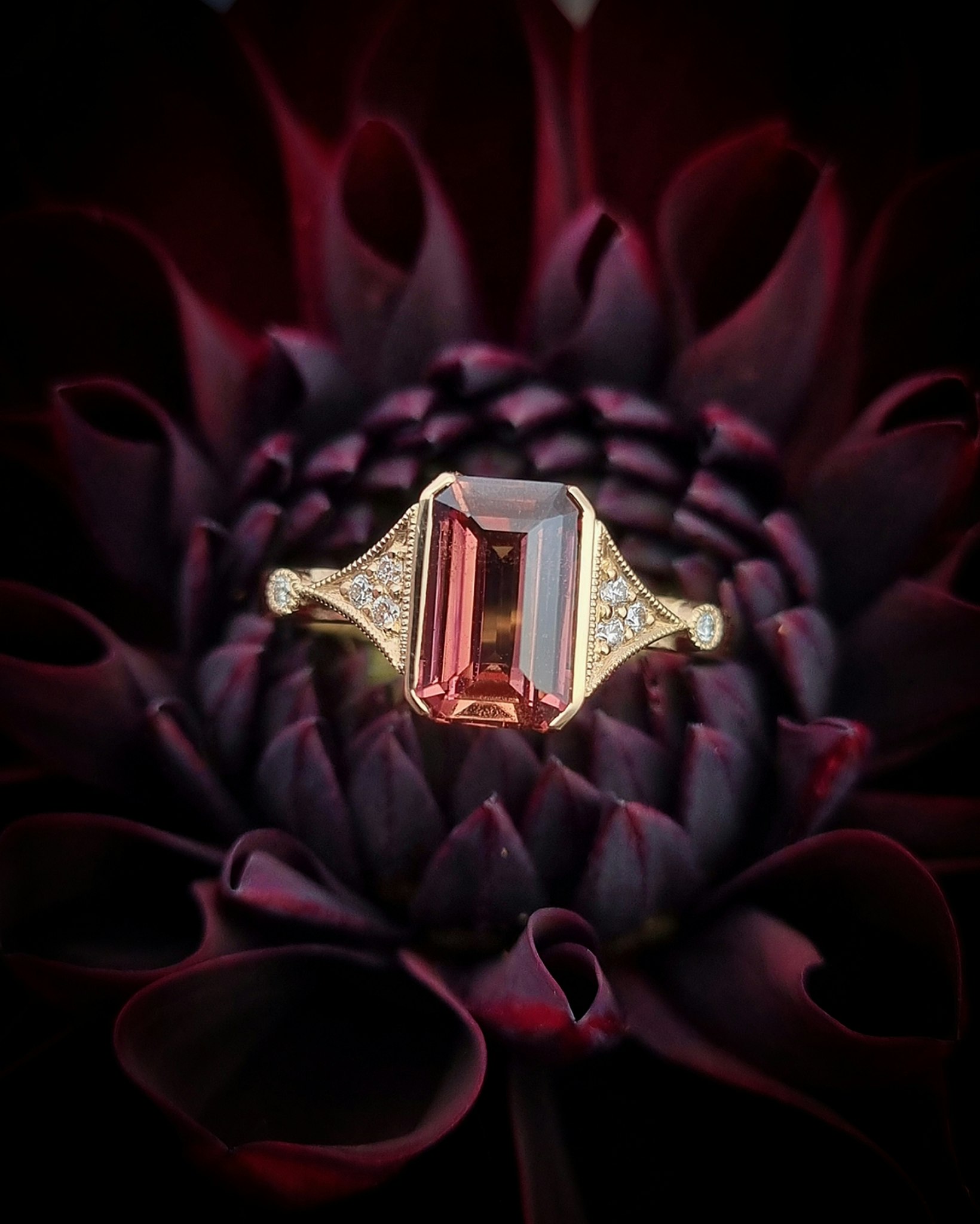 Rusty Rose - Safirring i 18K guld