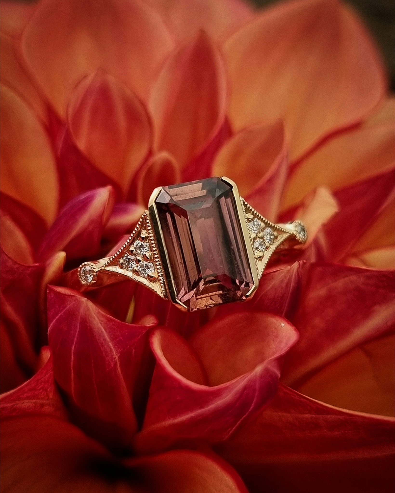 Rusty Rose - Safirring i 18K guld