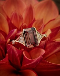 Rusty Rose - Safirring i 18K guld