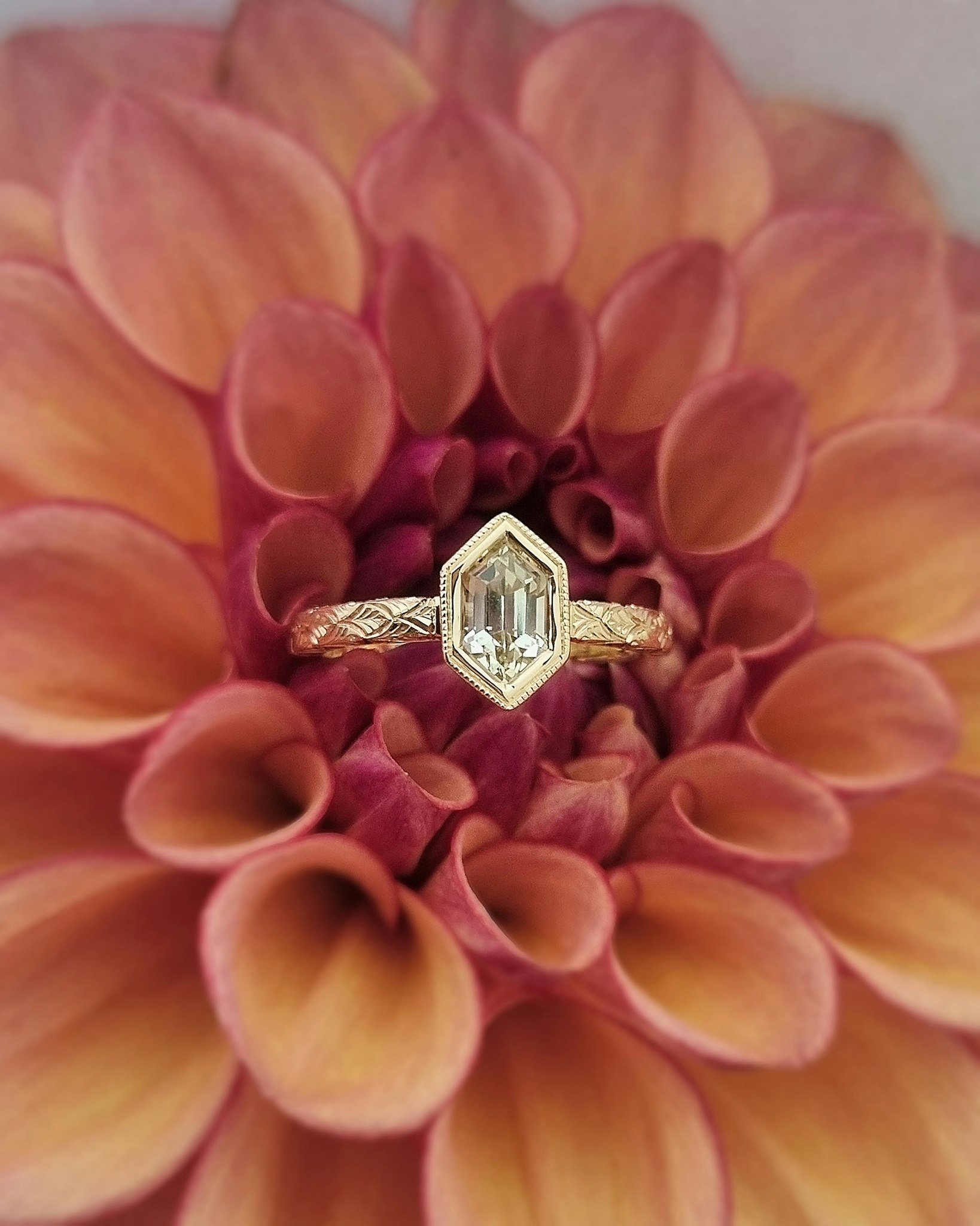 Fawn 'Art Deco' - Solitär i 18K med champagnesafir