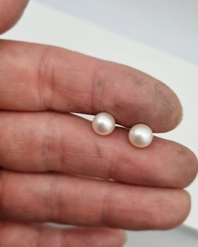 Klassiska vita Akoyapärlor - örhängen i 18K guld