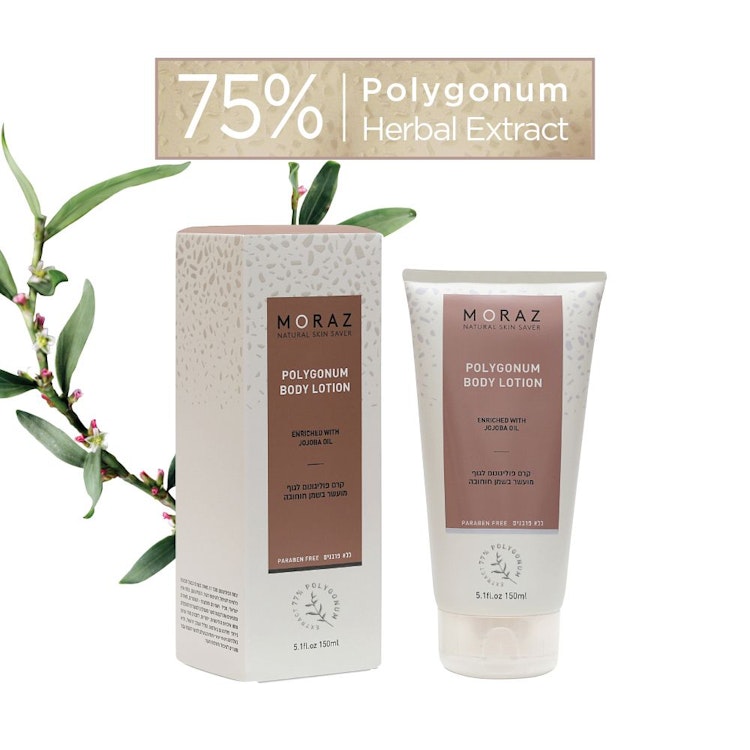 Polygonum Body Lotion