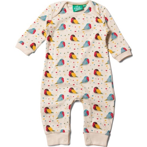 Rainbow Robins Playsuit