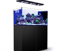 Red Sea Reefer Peninsula med belysning Hydra 32 HD+vajerset