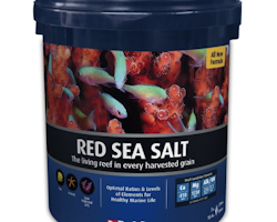 Red Sea Salt 22 kg