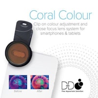 D&D Coral Colour Lens 2nd gen