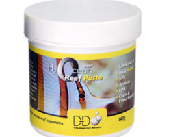 D&D H2Ocean Pro+ Reef Paste