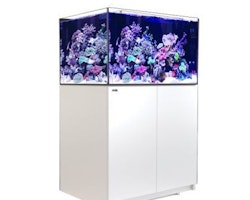 Red Sea Reefer XL 300