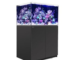 Red Sea Reefer XL 300
