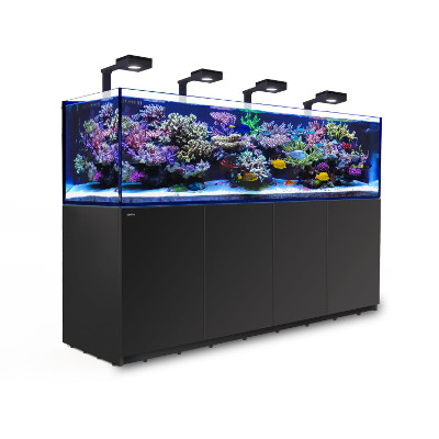 Red Sea Reefer 3XL 900 med belysning 4 st Hydra 32 HD+4st arm