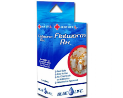 Bluelife Flatworm RX, 30ml