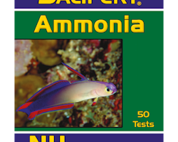 Salifert Test Ammonium, NH3