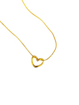 Rostfritt stål Halsband